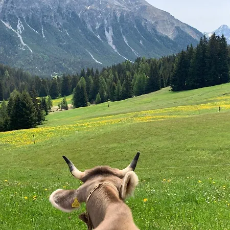 アパート 405 Haus Allod *