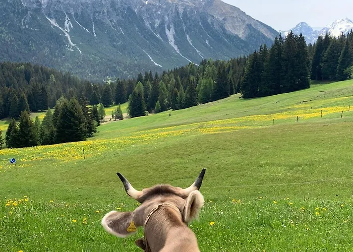 شقة 405 Haus Allod *